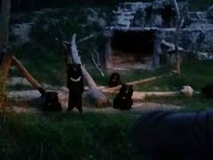 -清迈夜间动物园