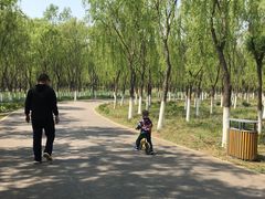 -东郊湿地公园