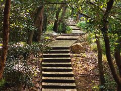 -上海佘山国家森林公园天马山园