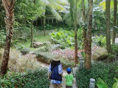 -海南清水湾莱佛士酒店