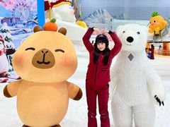 -广州热雪奇迹