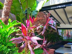 -陈熹公民族美食文化餐厅(中华广场店)