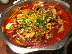 -宽口美蛙鱼头(大唐西市店)