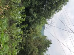 -崇州九龙峡漂流