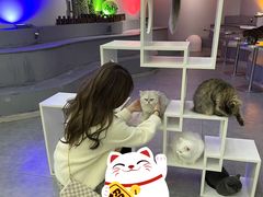 -极木²邸 人与宠物·互动社区