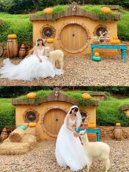 点击看大图 -花漾摄影优选工作室(东莞原创作品店)