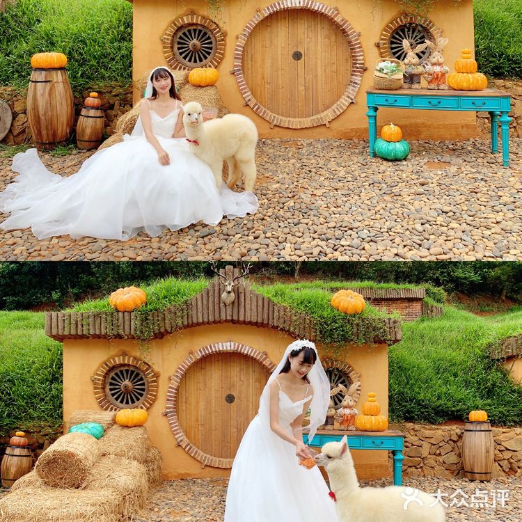 东莞超童话拍摄地，森系婚纱照也太好看了吧！