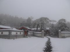 -阳台山自然风景区