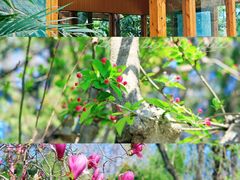 -北京十三陵国家森林公园蟒山景区