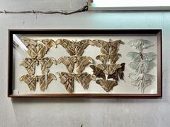 -显应宫(长乐区)