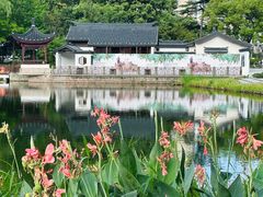 -和平公园