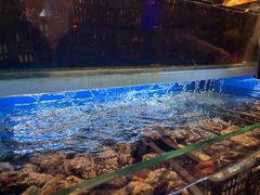 活鲍鱼-喜庭海鲜自助(来福士店)