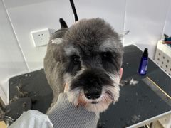 -北京恒爱动物医院(清景园分院)