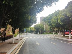 -云南艺术学院(呈贡校区)