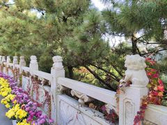 -石岛赤山风景区