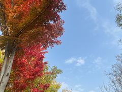 -回龙观体育文化公园