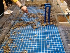 -半岛听涛蒸汽海鲜自助(K11店)