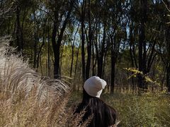 -野鸭湖国家湿地公园