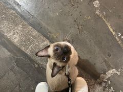 -CrossFit MeWellness