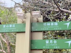 -杭州半山国家森林公园