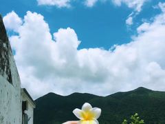 -大澳渔村及棚屋