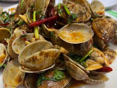 -小海丁