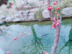 -三里河公园