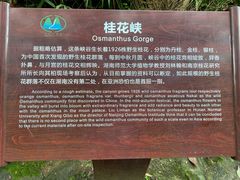 -周洛大峡谷
