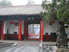 -关林
