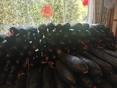 -尚竹阁冬瓜盅·18年地标美食(平洲店)
