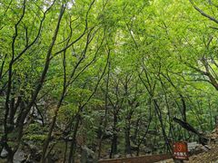 -苍岩山风景名胜区
