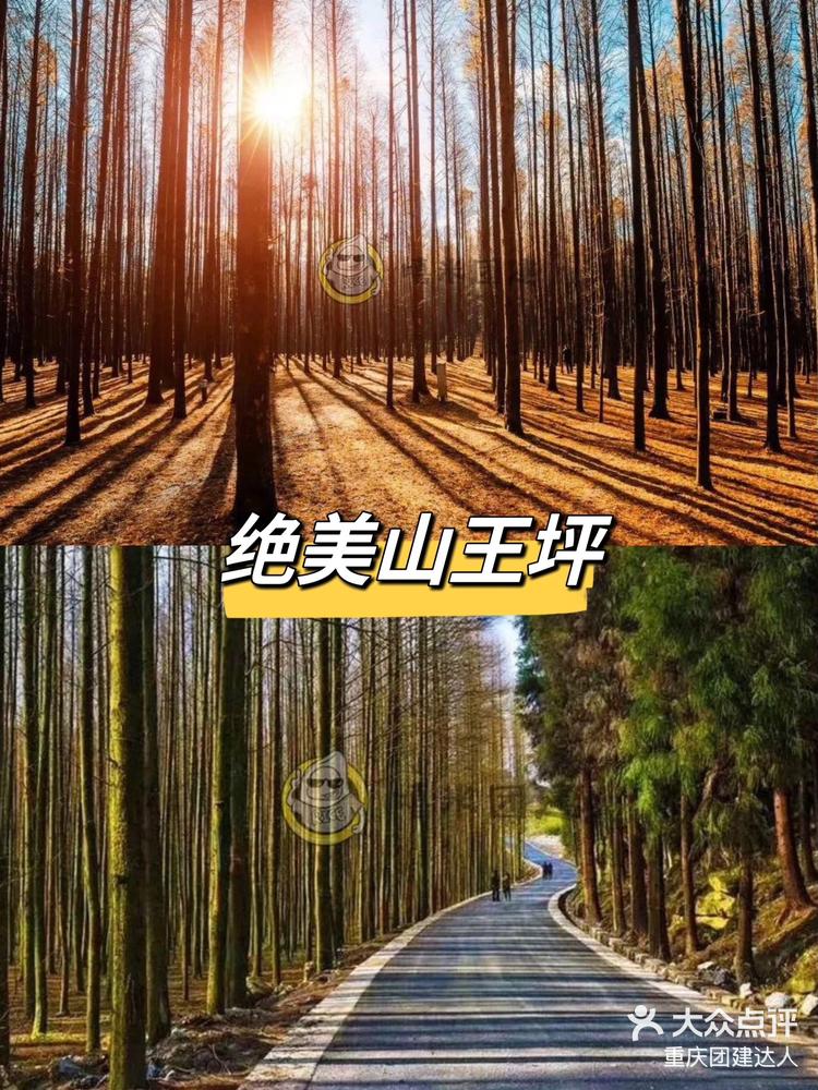 重庆团建|南川山王坪94一条公路穿越两季 本次活动依托于山王坪景区