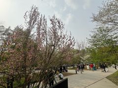 -武汉大学校门牌坊