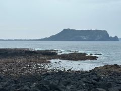 -涉地可支