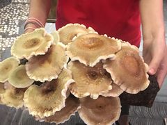 -谭鸭血老火锅(漳州路店)