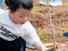 -魔力熊儿童早教托育中心(硚口同馨店)