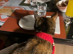 -EATALIA意塔利意式餐厅(鼓楼店)