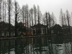 -西湖游船