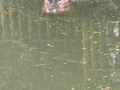 -济南野生动物世界