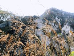 -碓臼峪自然风景区