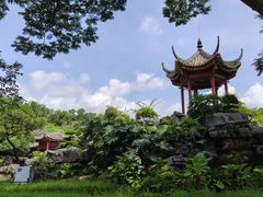 -顺峰山公园