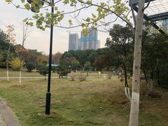 -月湖风景区