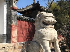 -泰山风景名胜区-普照寺