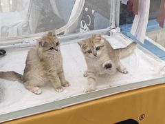 -阳光世纪奥特莱斯店