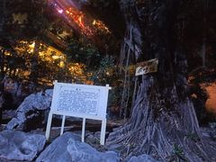 -东江渔村·古典园林·30年粤菜老字号(太和店)