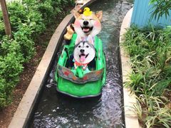 -南宫五洲植物乐园