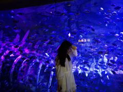 -波塞冬旅游度假区