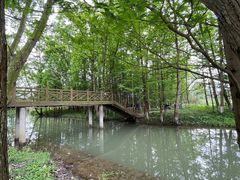 -桤木河湿地公园