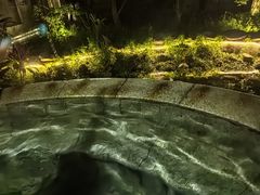 -温泉九龙山庄·温泉