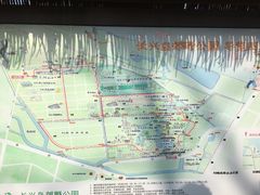 -上海长兴岛郊野公园